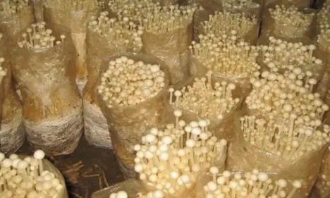 1636976842132426.jpg u=1247581197,1371671927&fm=26&fmt=auto.webp.jpg