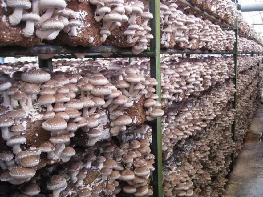 1636977213885475.jpg 056.jpg